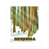 Sequoia National Park Poster (Print Only)