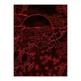 Red bubble (Print Only) thumbnail