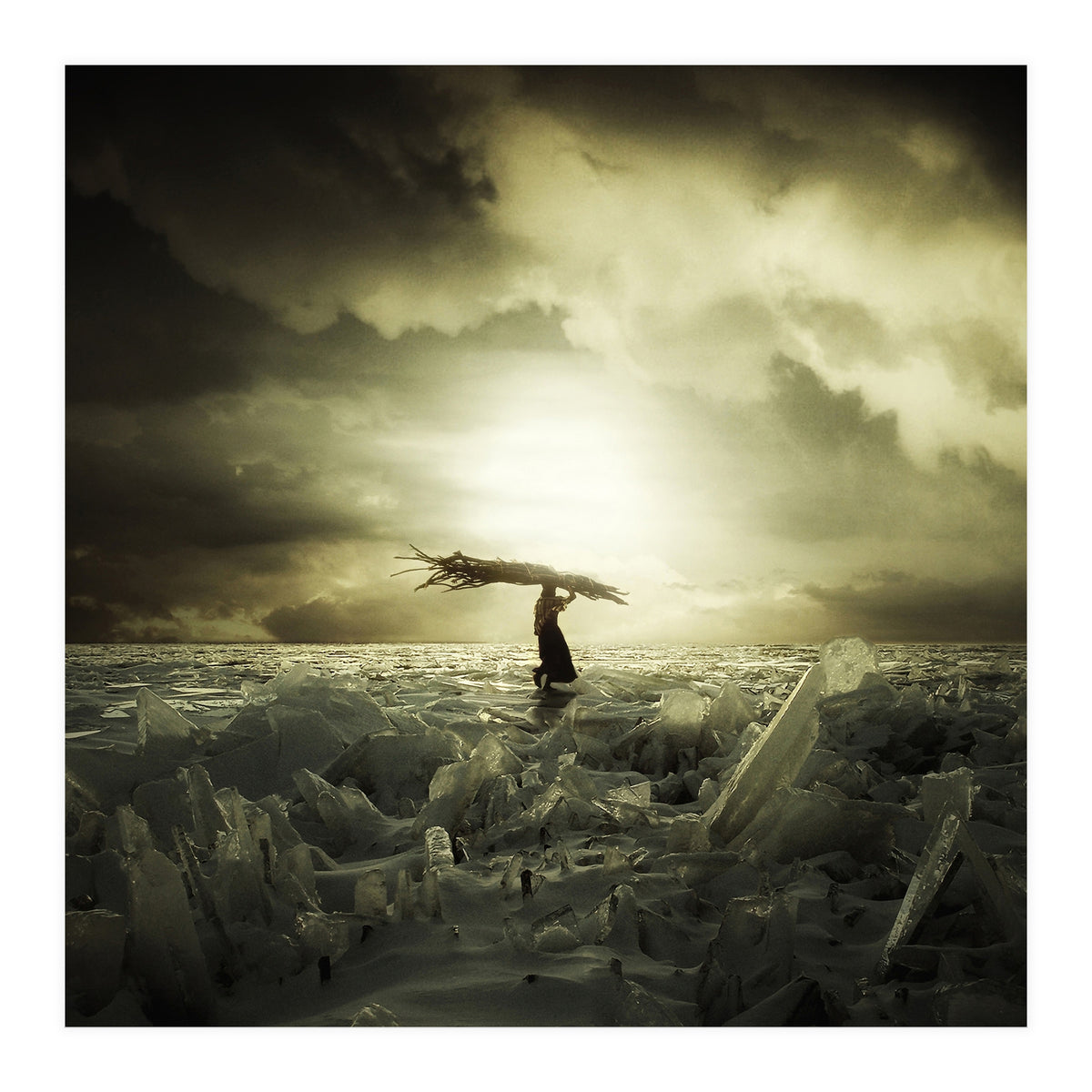 Frozen Nation (Print Only)