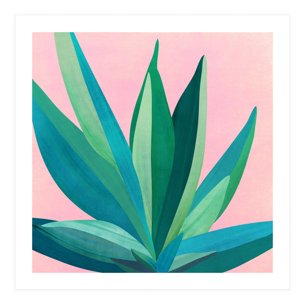 Southwest Agave (Print Only)