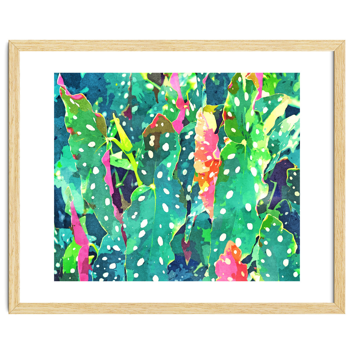 The Polka Dots Plant