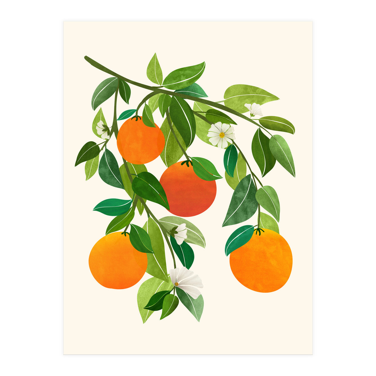 Oranges and Blossoms II (Print Only)