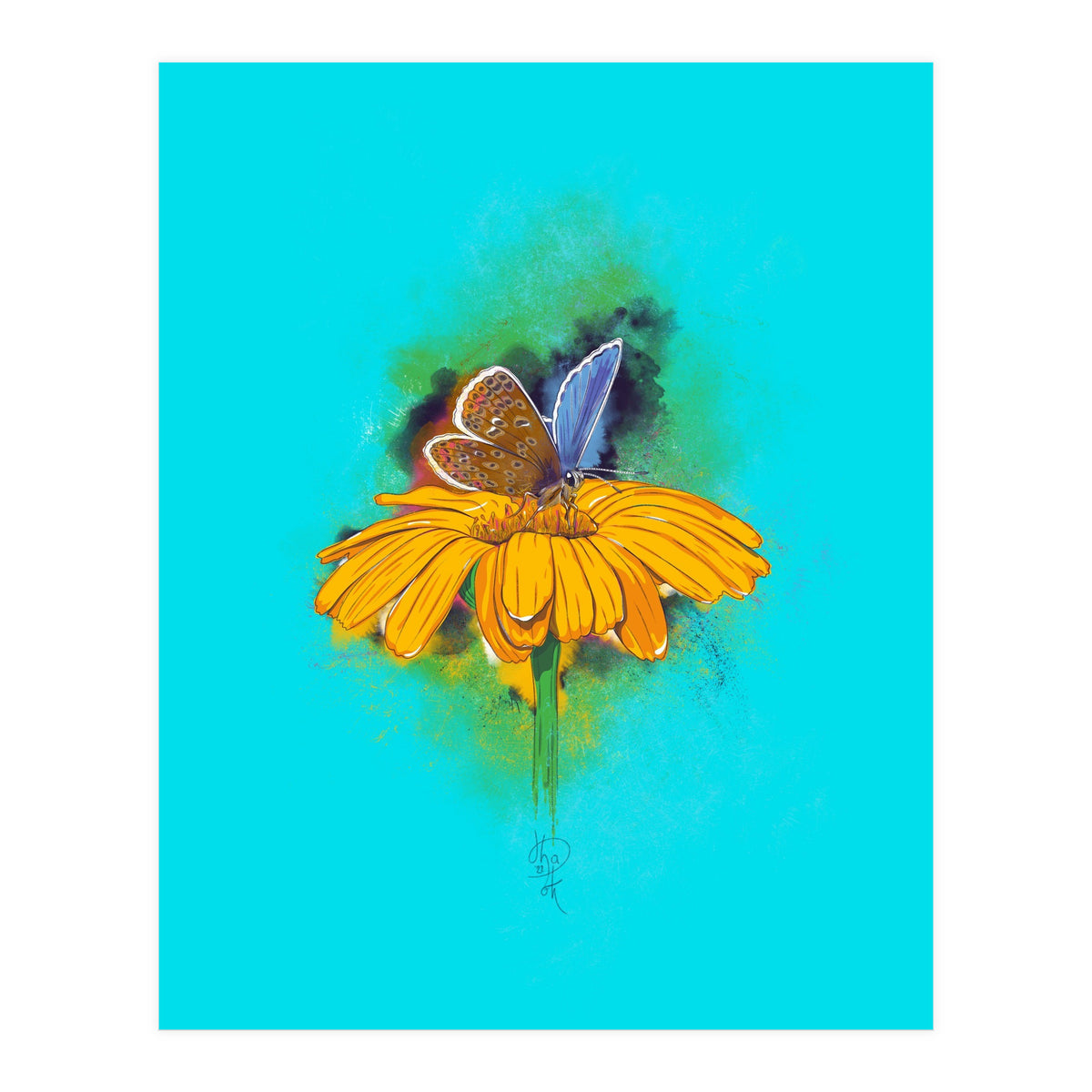Butterfly 5 (Print Only)