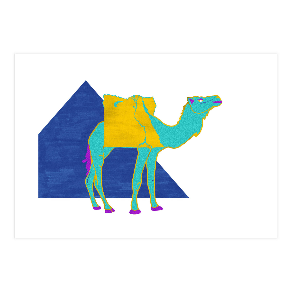 Egyptian Dromedary (Print Only)