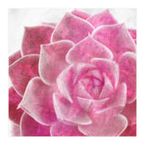 Rough Beauty 4 (Print Only) thumbnail