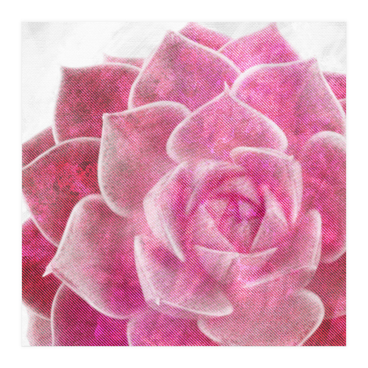 Rough Beauty 4 (Print Only)