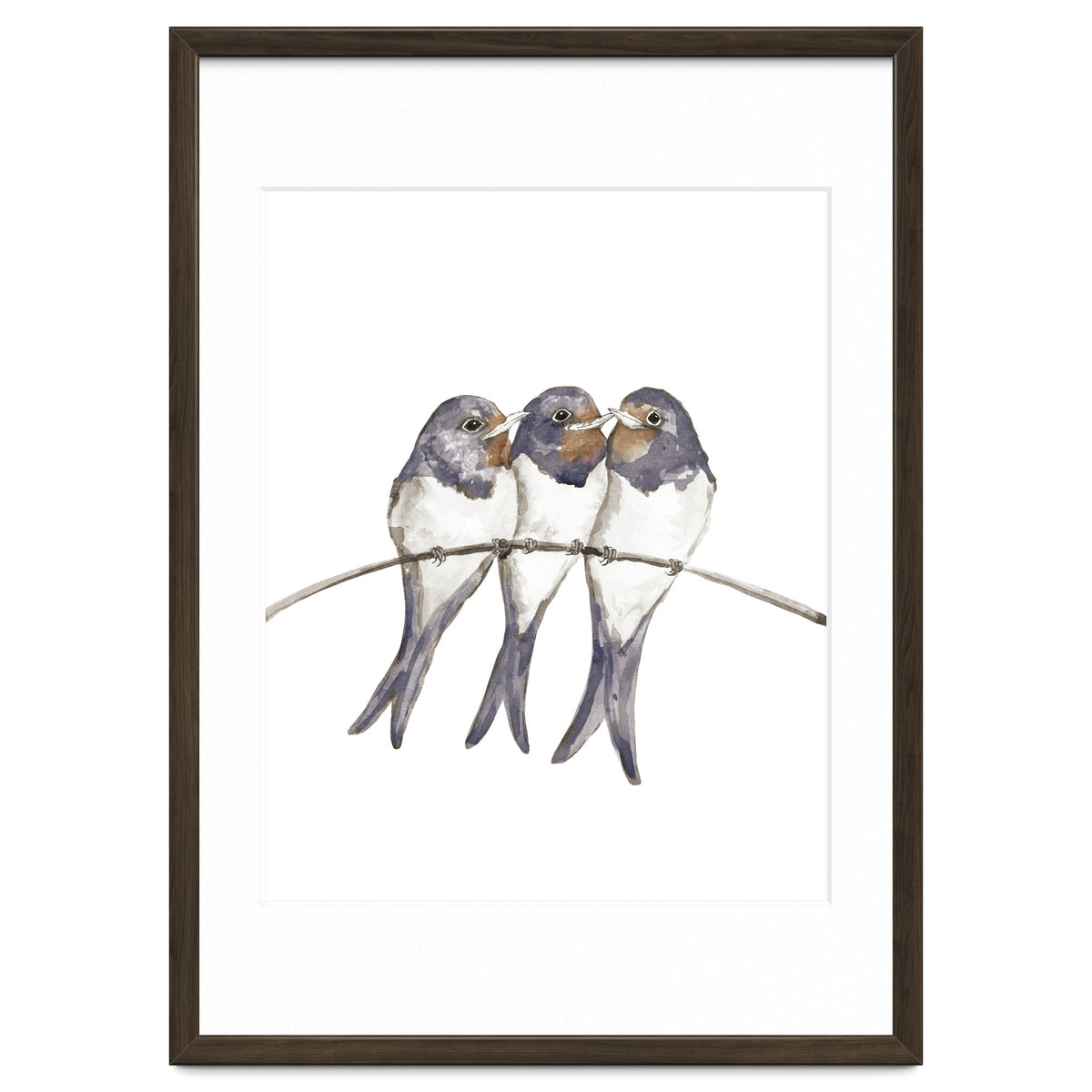 Three young swallows