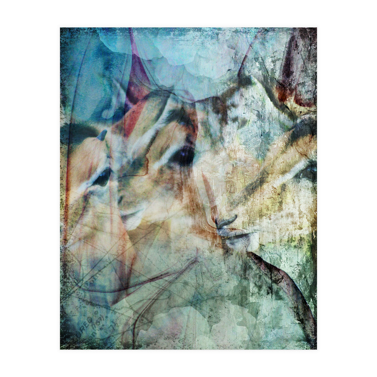 Three Deer (Print Only)