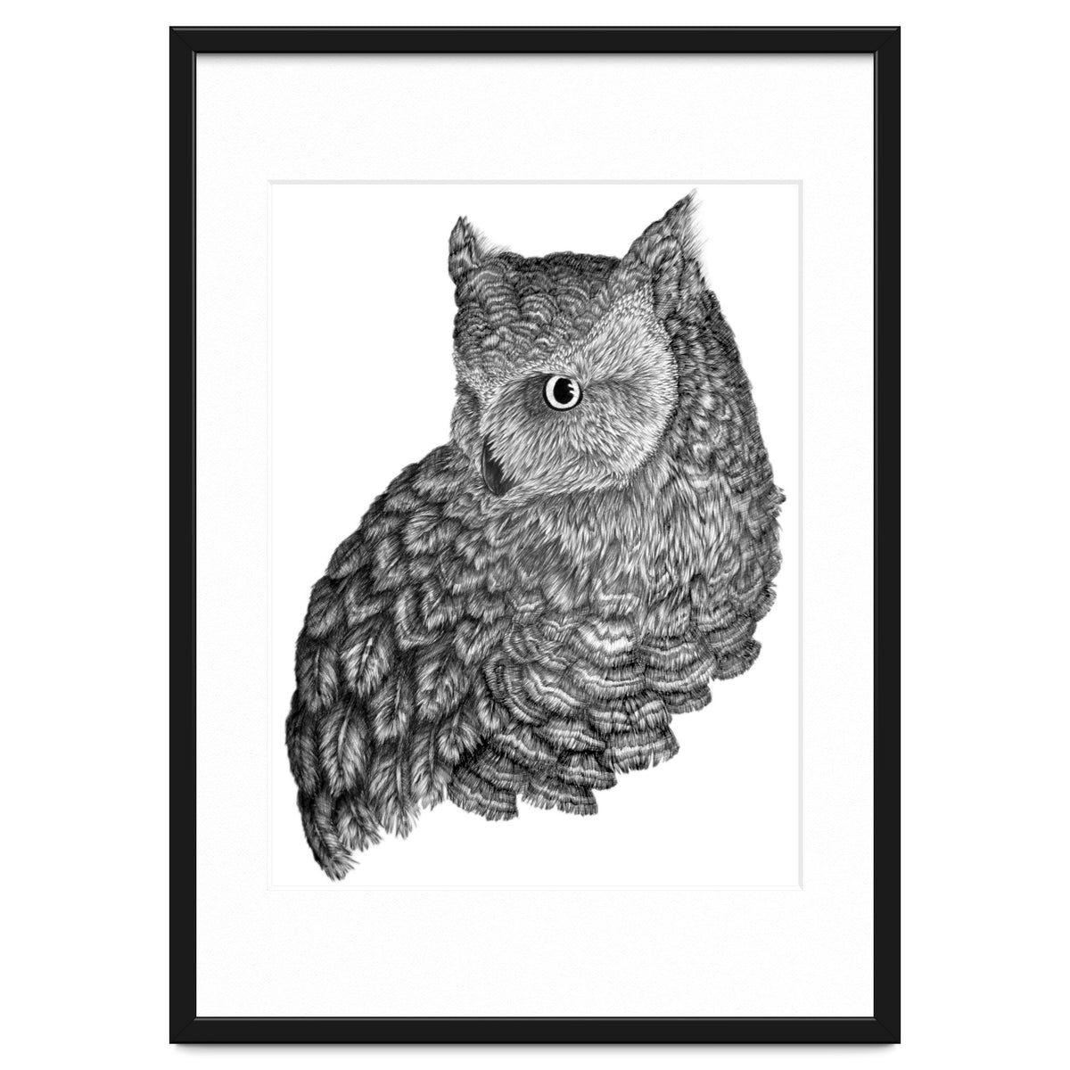 A Friend For Forsythe