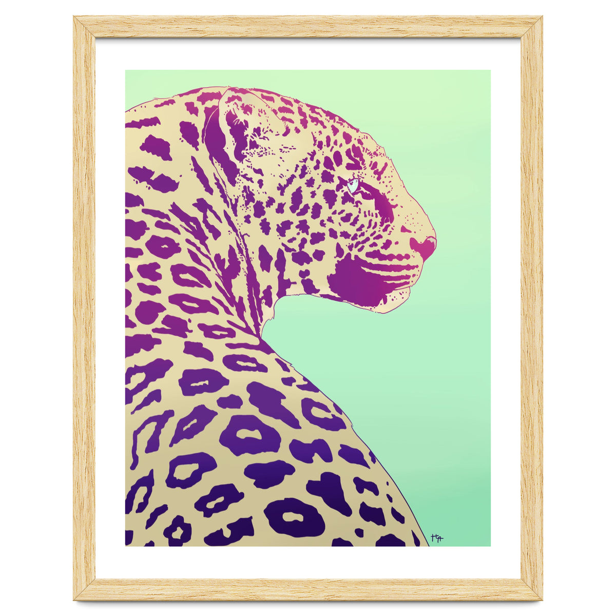 Leopard Under The Sun