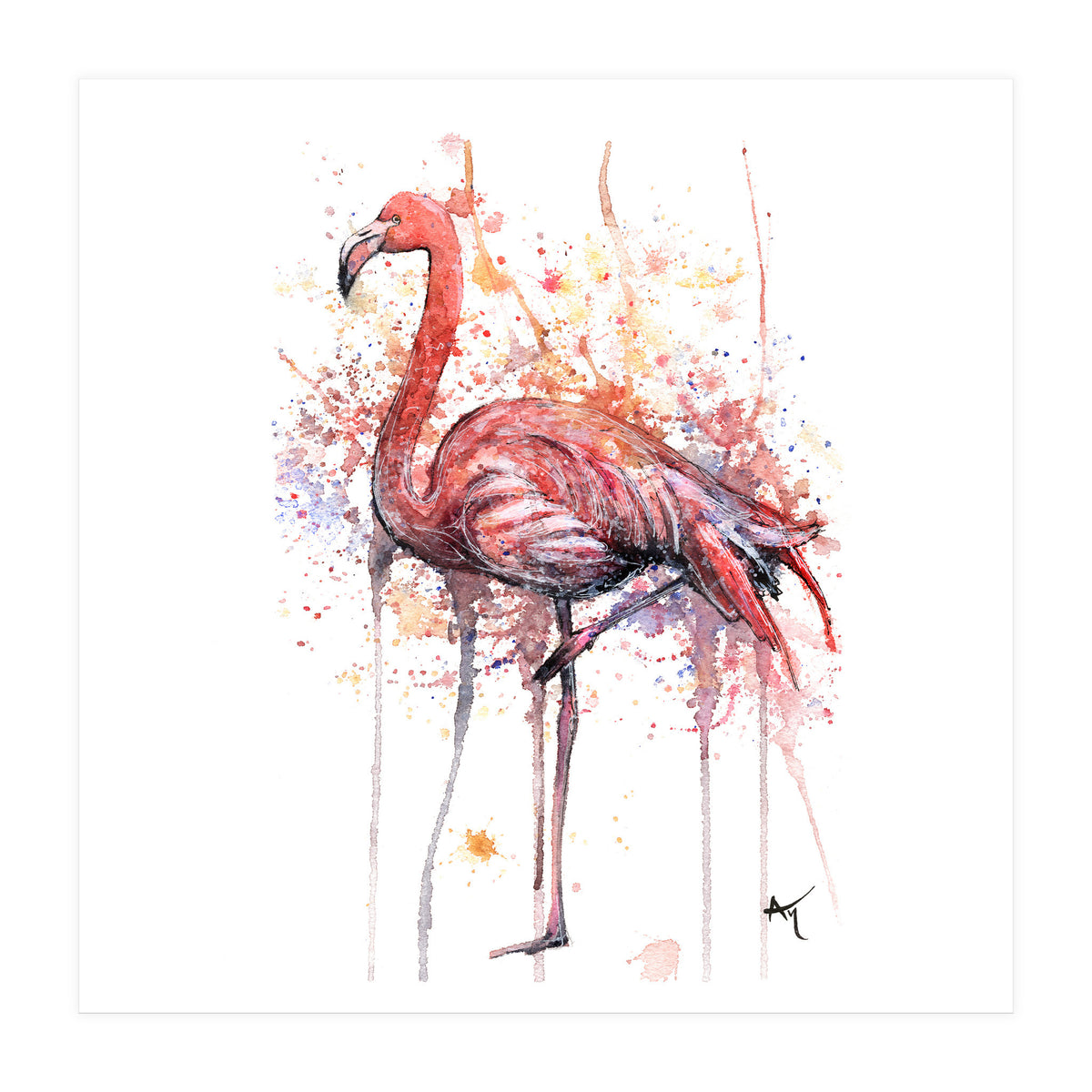 Flamingo - Wildlife Collection (Print Only)