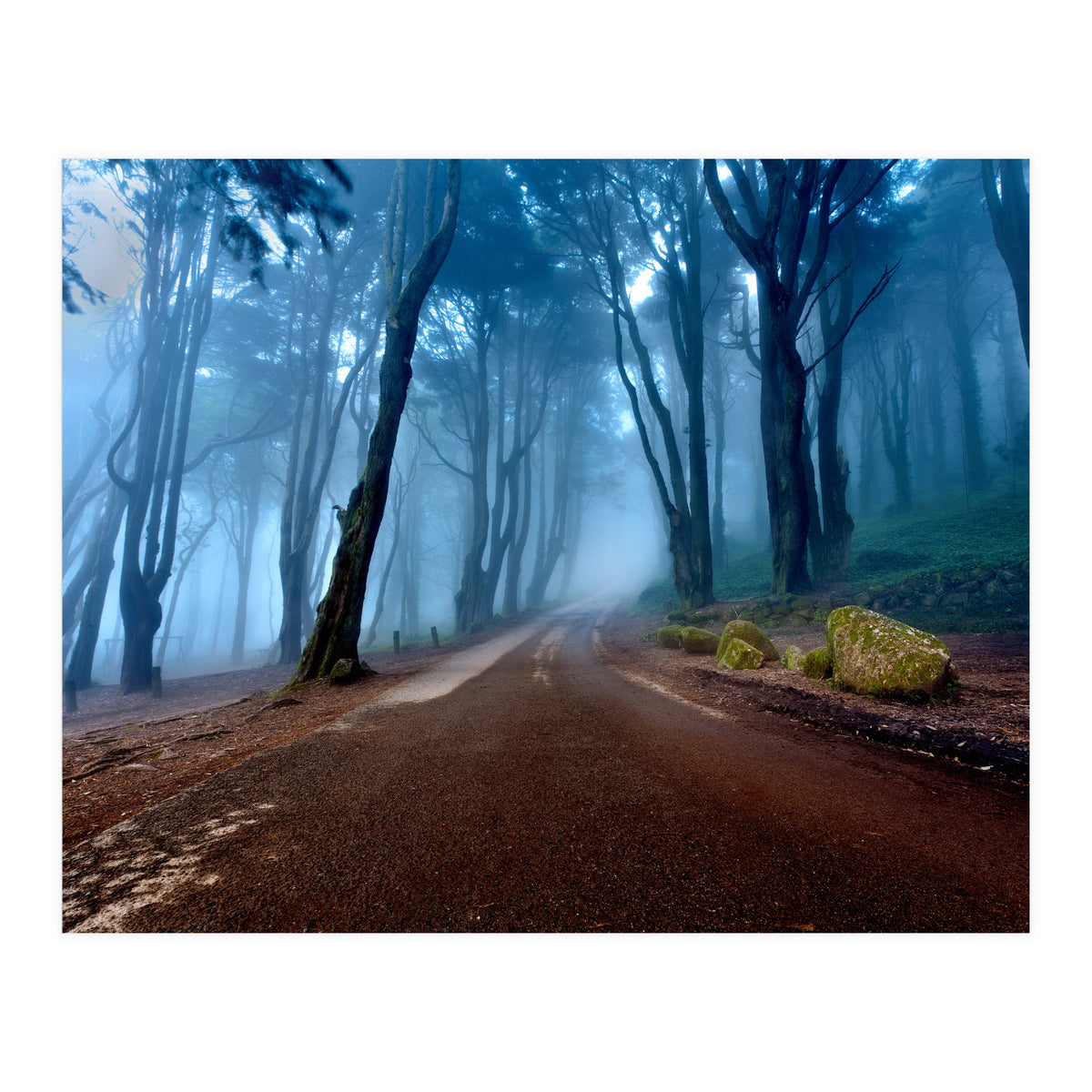 The Road Of Kings (Print Only)