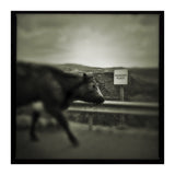 Struan Road (Print Only) thumbnail