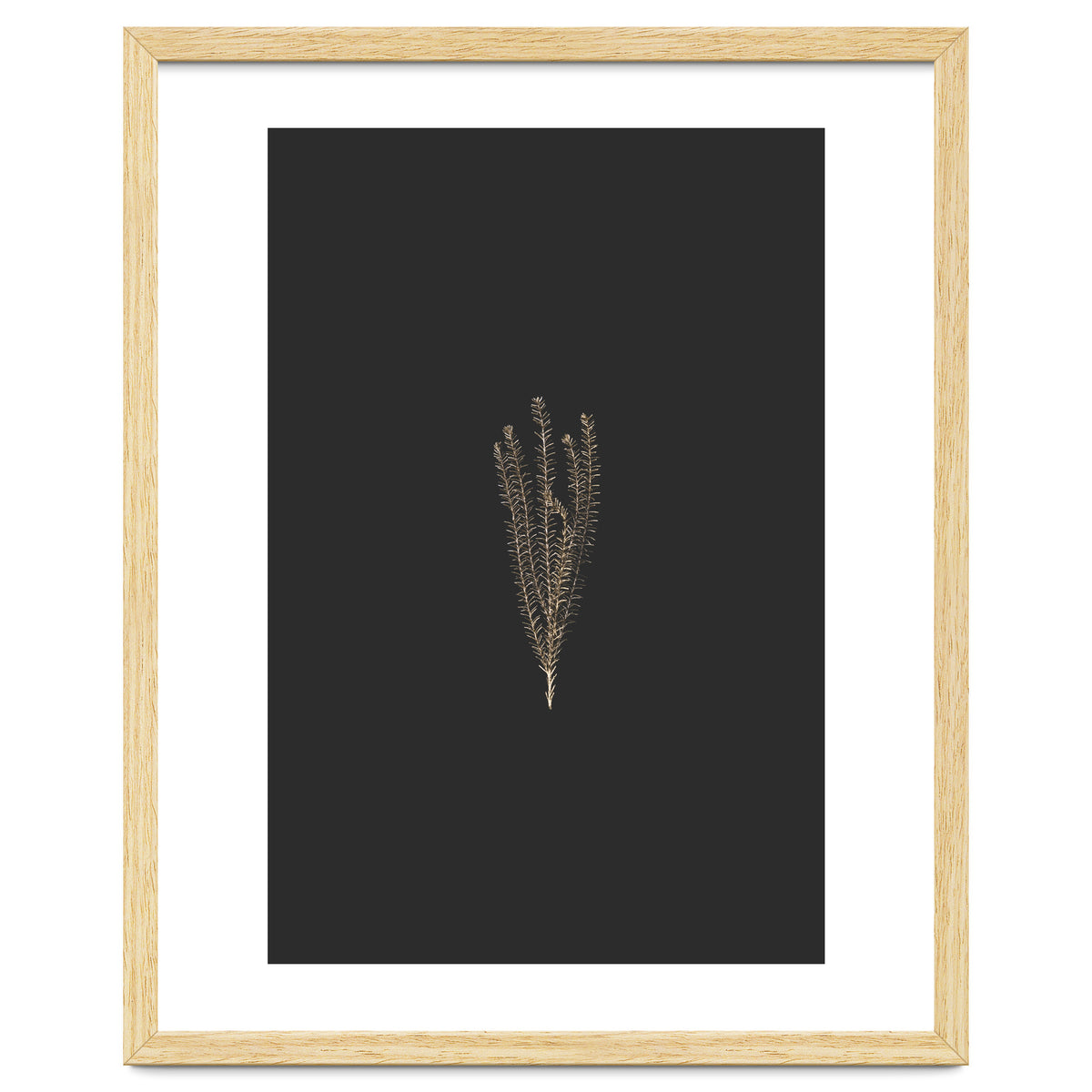 Delicate Fynbos Botanicals in Gold and Black