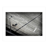 Cyclist (Print Only) thumbnail