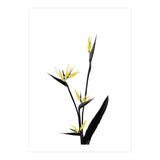 Flower Minimal Black And Gold 05 (Print Only) thumbnail