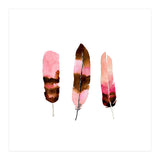 Blush Feathers (Print Only) thumbnail