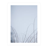 Forgotten Memories of Summer #20 (Print Only) thumbnail