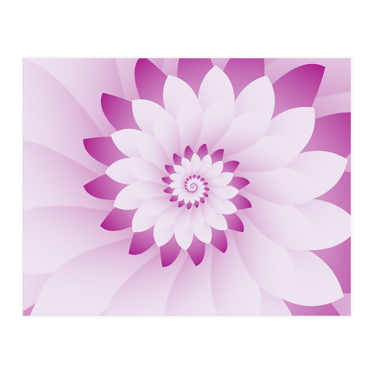 Abstract Pink & White Floral Design  (Print Only)