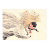 Crowned Crane (Print Only) thumbnail