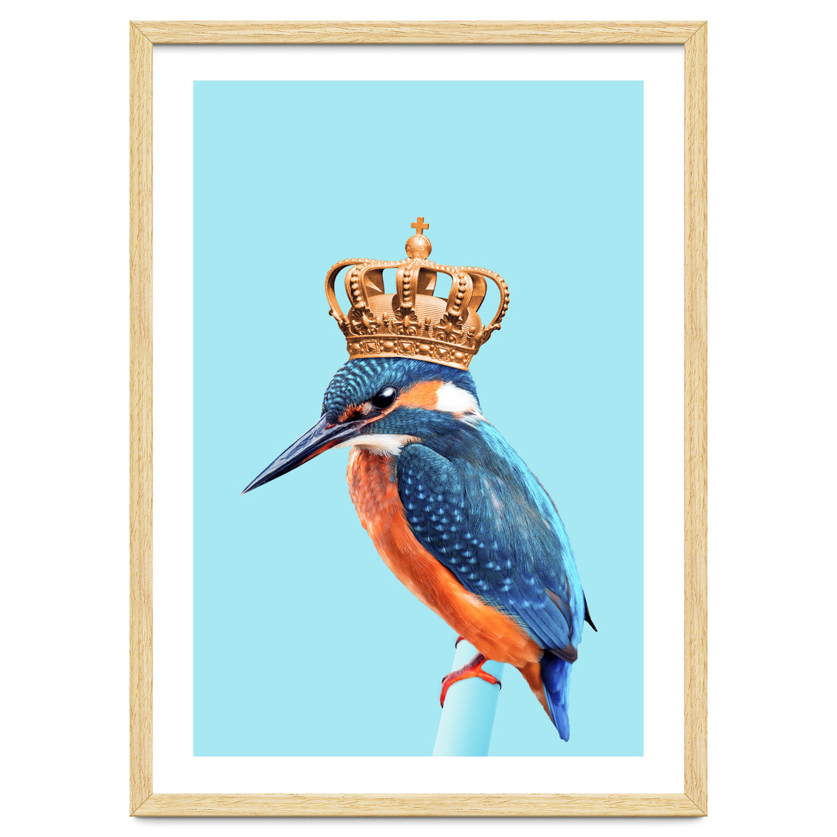 Kingfisher