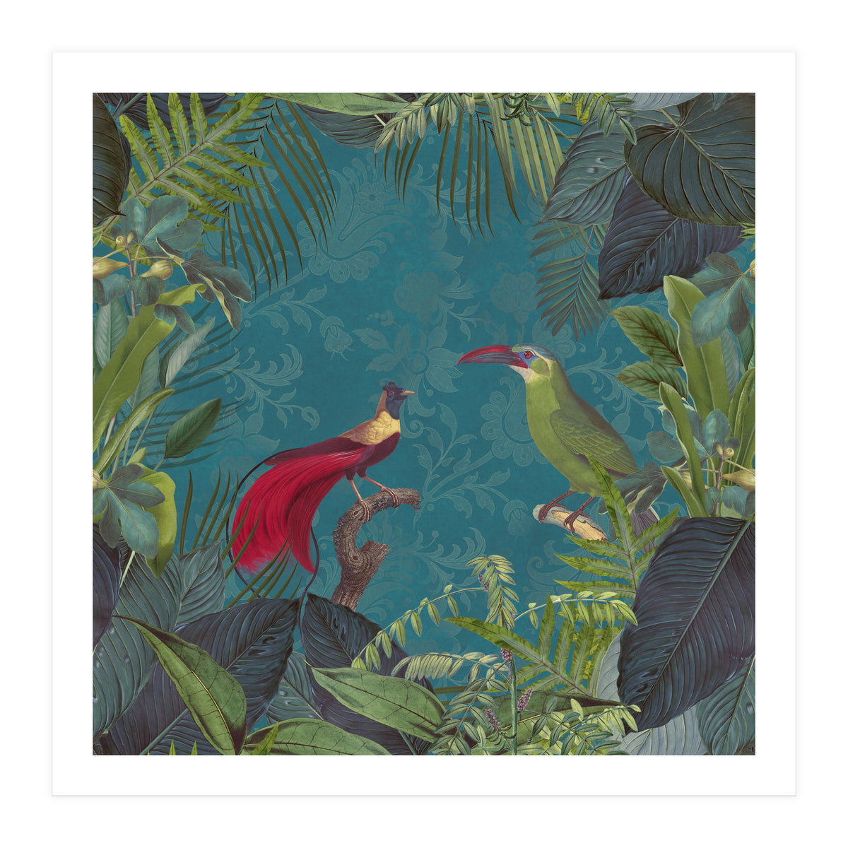 Birds Of Paradise (Print Only)