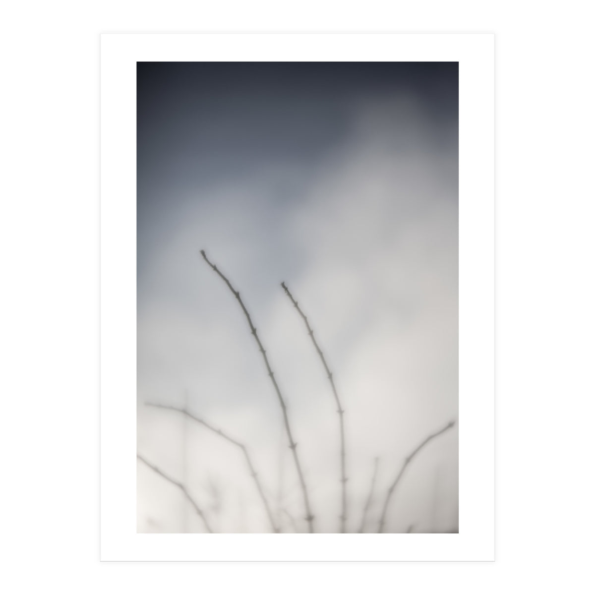 Forgotten Memories of summer #18 (Print Only)