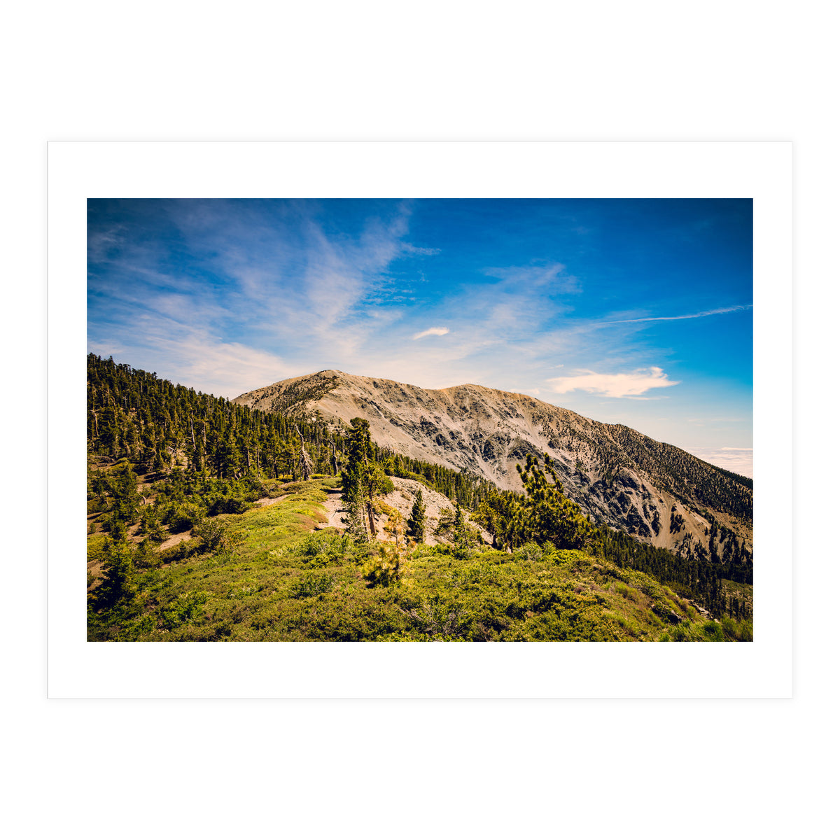 Mt Baldy (Print Only)