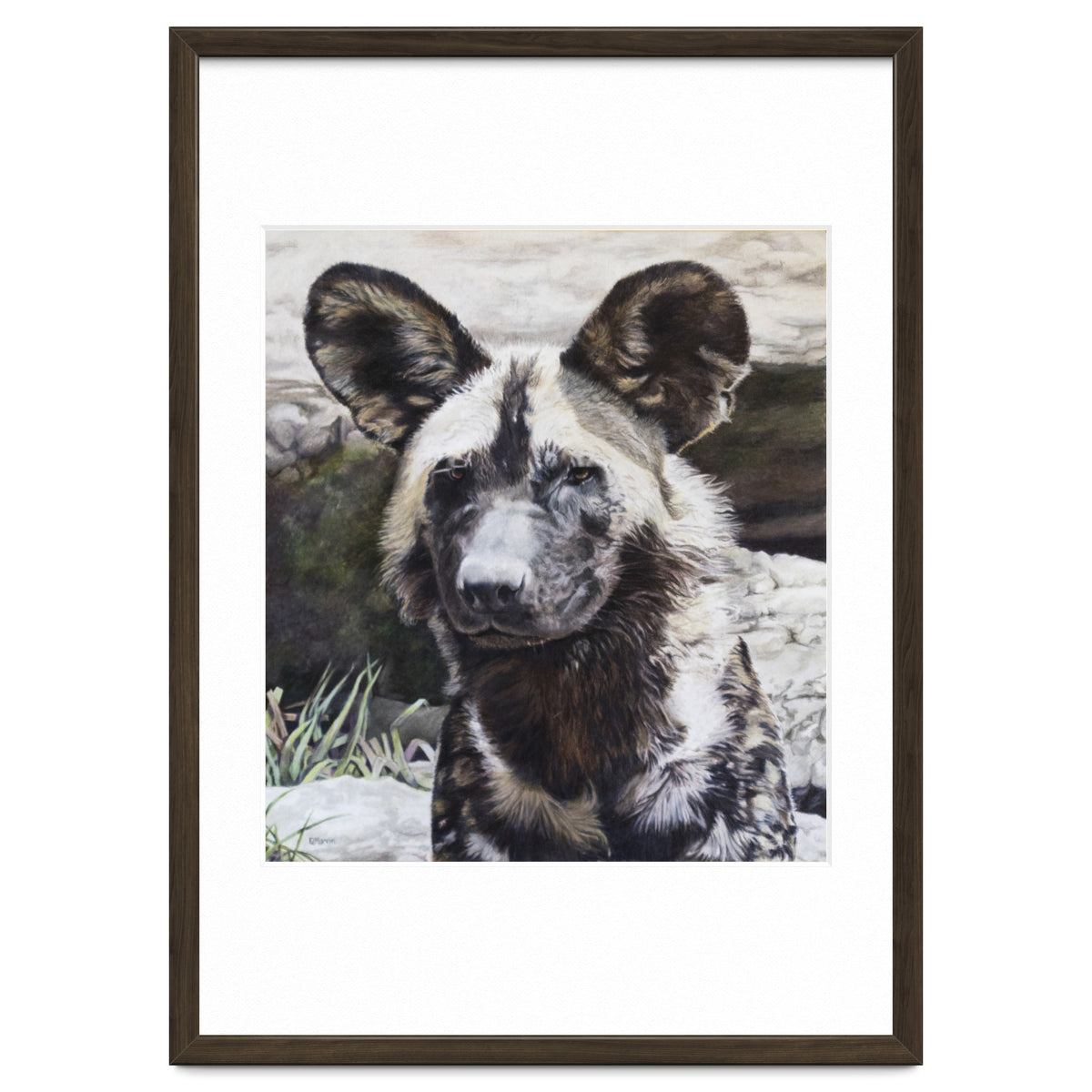 African Painted Dog II