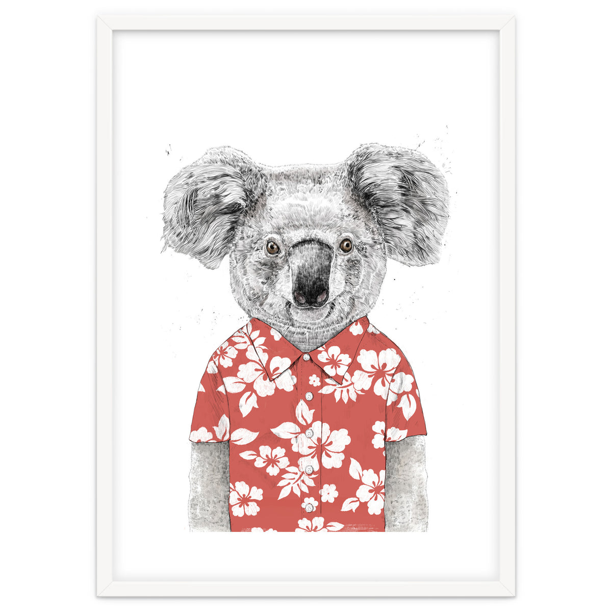 Summer Koala