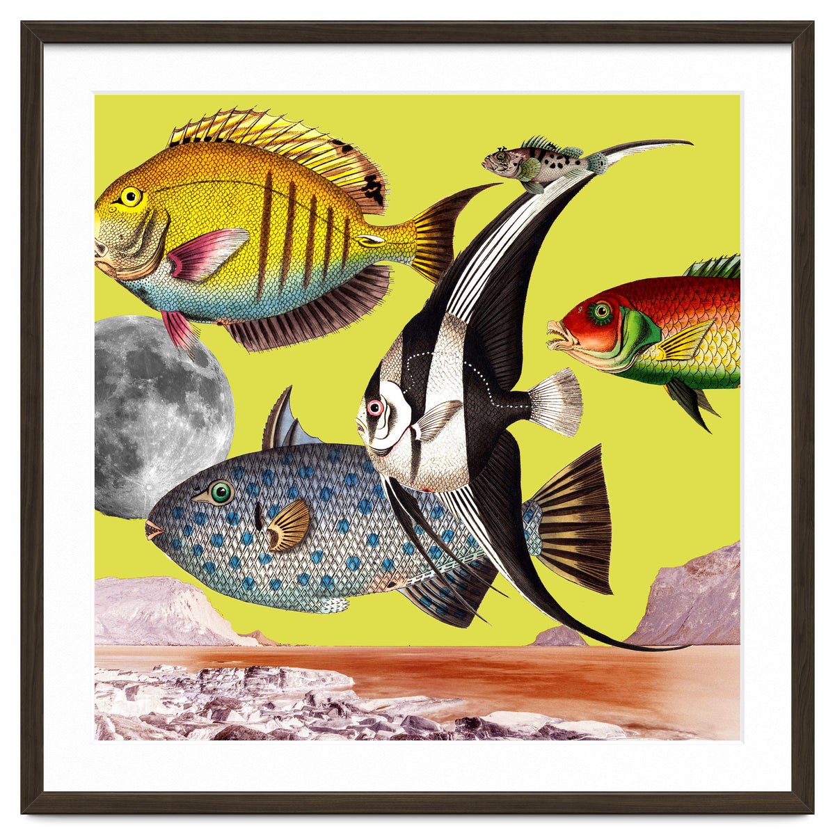 Plenty Of Fish In The Sea Yellow