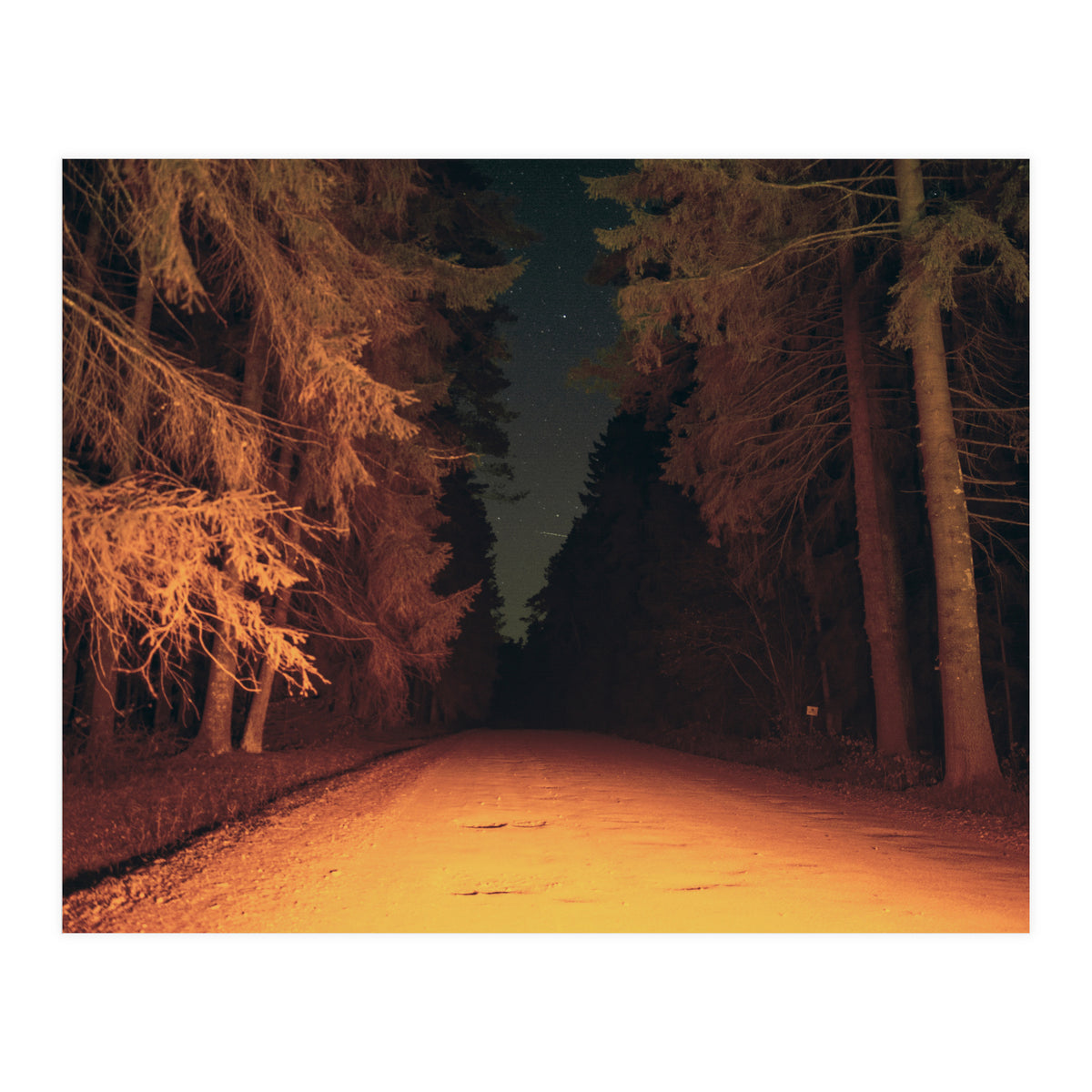 Serial Killer on His Way Home (Print Only)