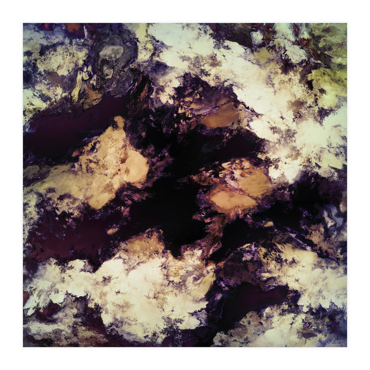 Hidden Dog (Print Only)