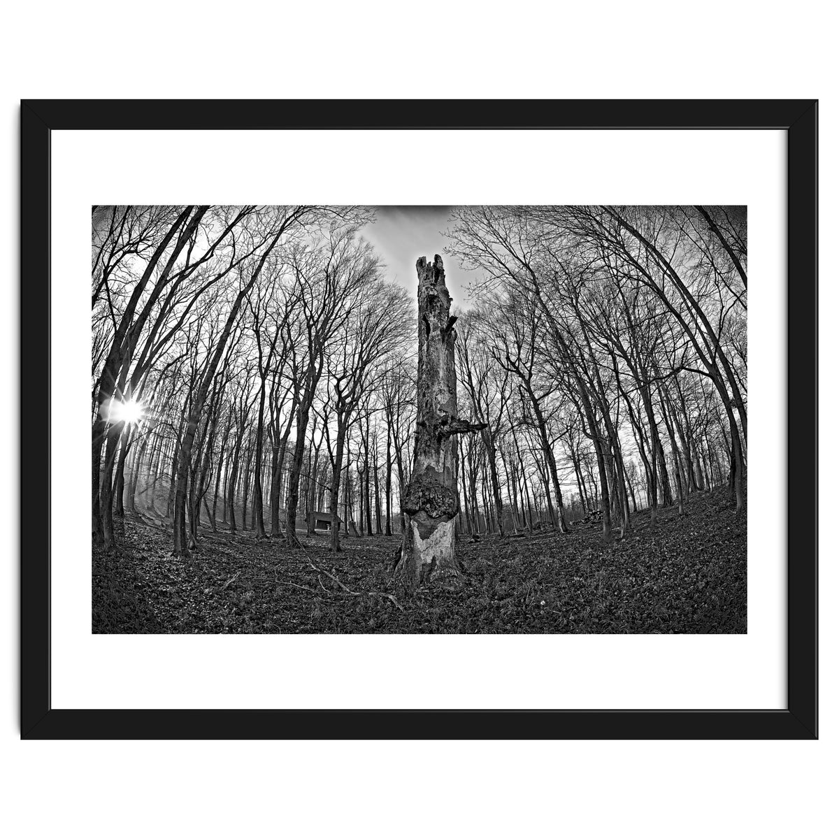 Circle of Growth and decay