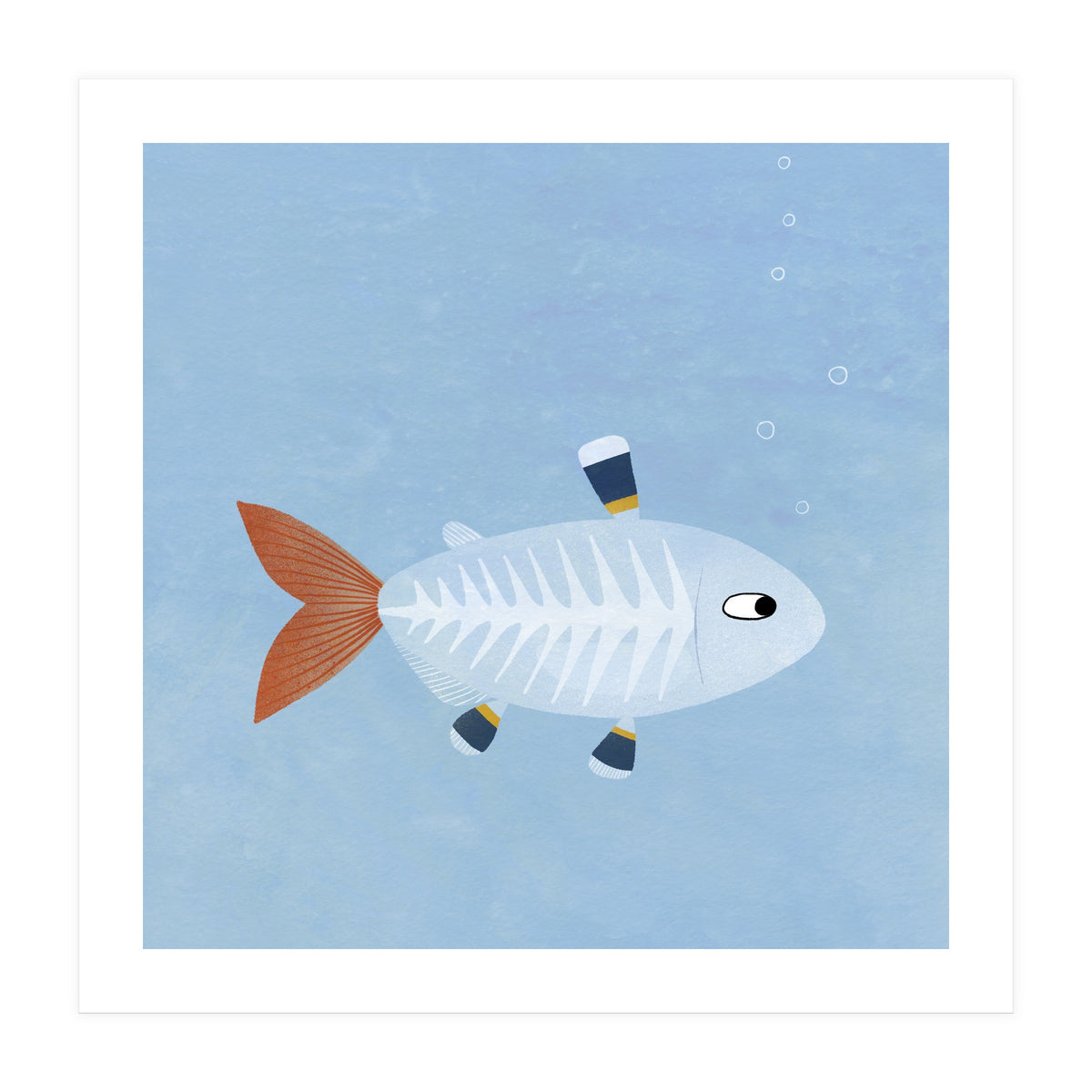 X Ray Tetra (Print Only)