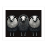 Fashion Sheep (Print Only) thumbnail