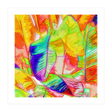 In All Things Of Nature, There's Something Of The Marvelous (Print Only) thumbnail