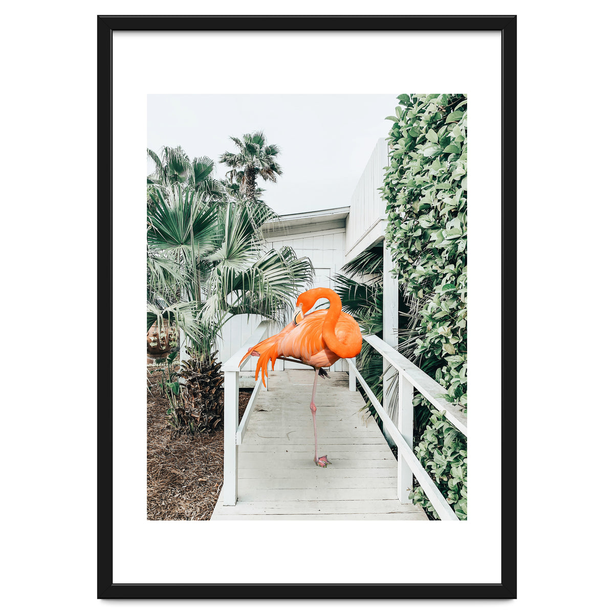 Flamingo Beach House