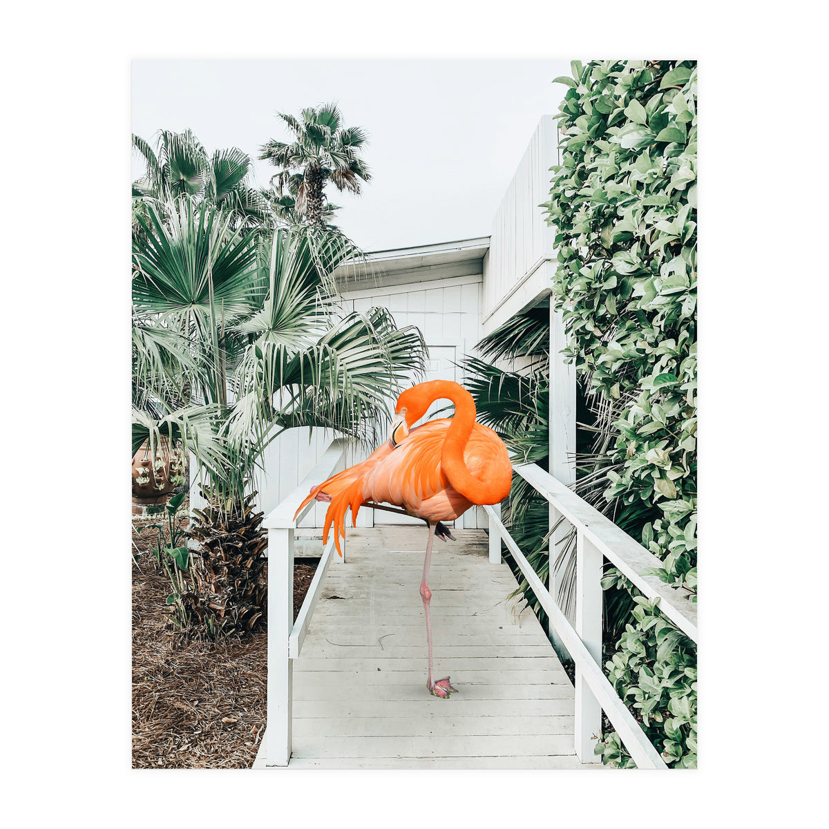 Flamingo Beach House (Print Only)