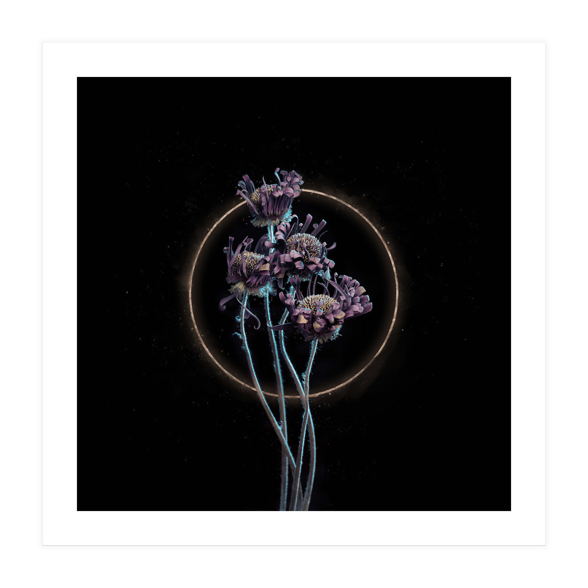 Candy-Coloured Mystery (Print Only)