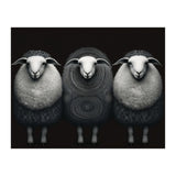 Fashion Sheep (Print Only) thumbnail