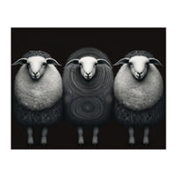 Fashion Sheep (Print Only)