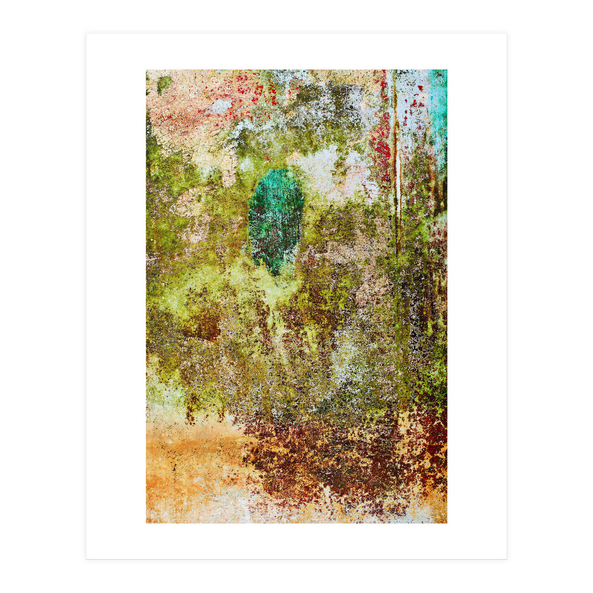 Oak (Print Only)