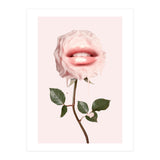 Glossy Rose (Print Only) thumbnail