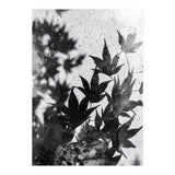 Leaves #2 (Print Only) thumbnail