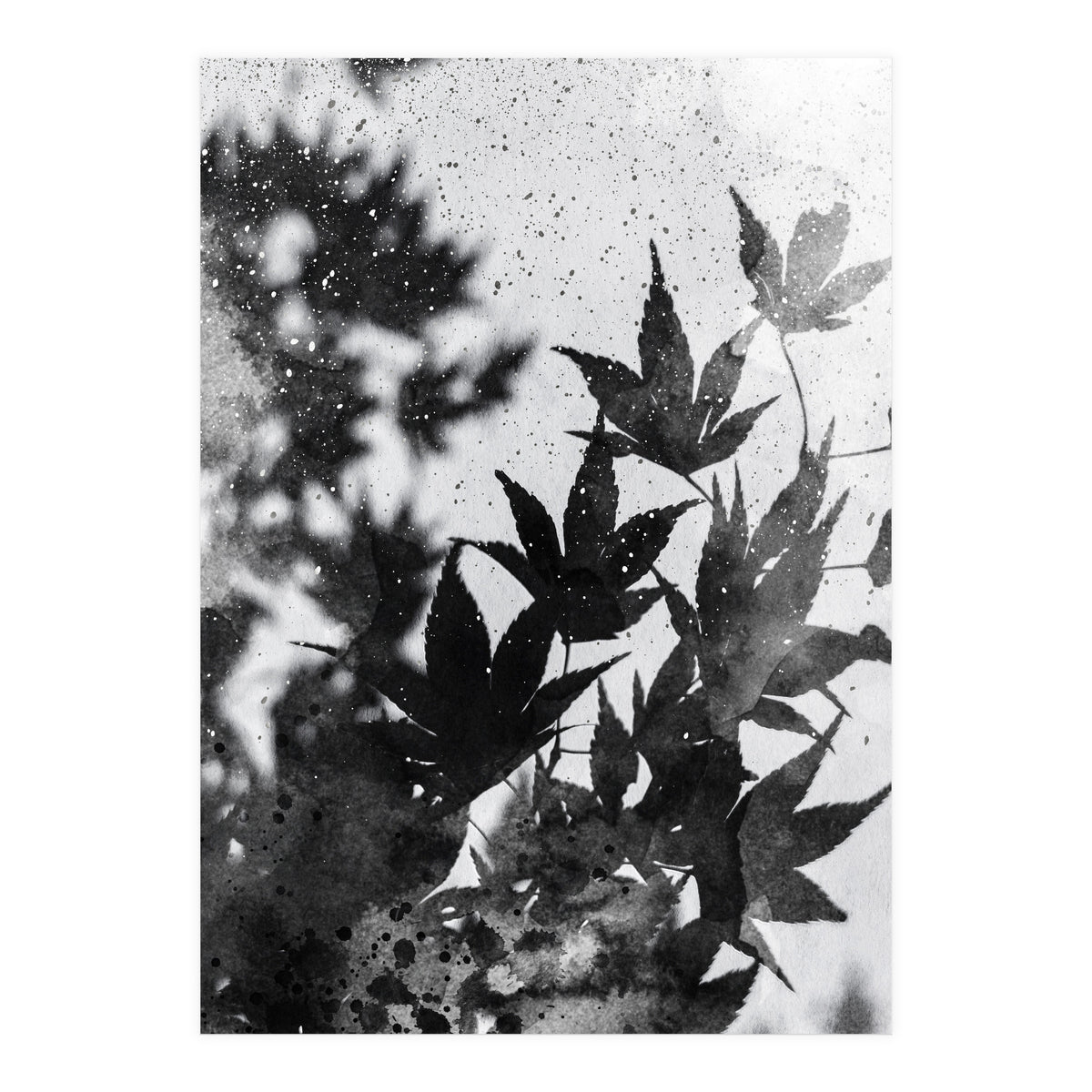 Leaves #2 (Print Only)