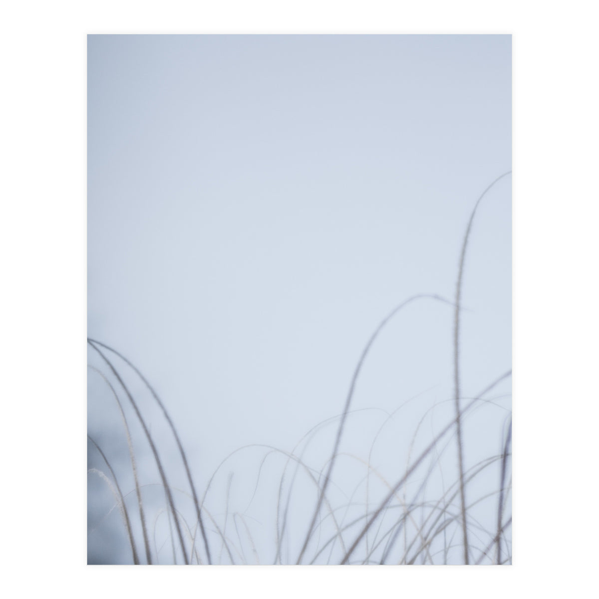 Forgotten Memories of Summer #20 (Print Only)