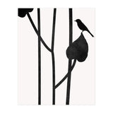 The Bird Noir (Print Only) thumbnail