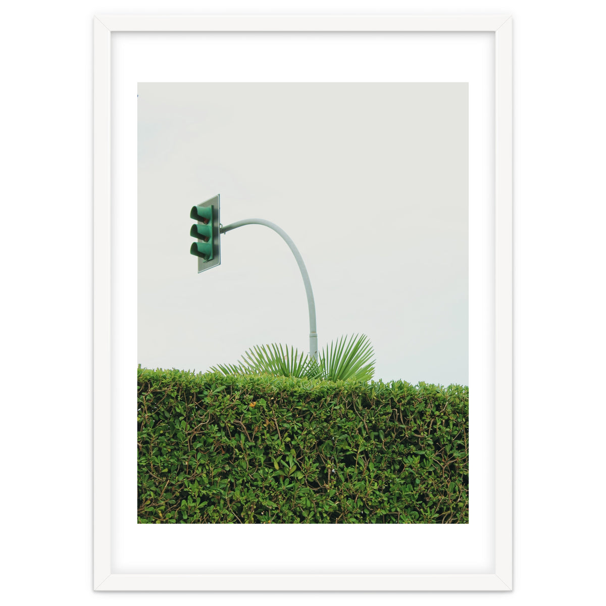 Urban Plant