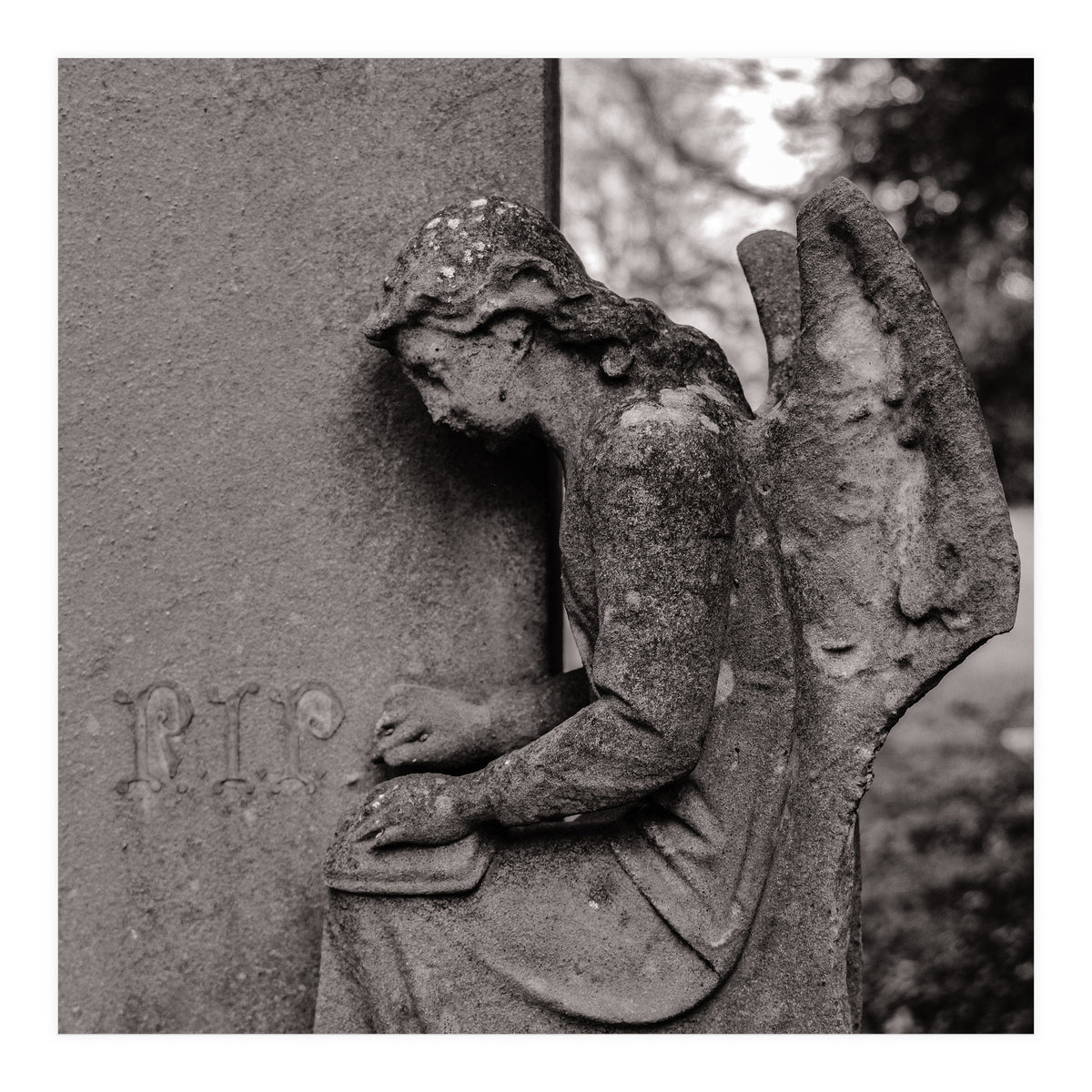 Rest in Peace (Print Only)